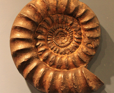 pittsburgh gem show fossil